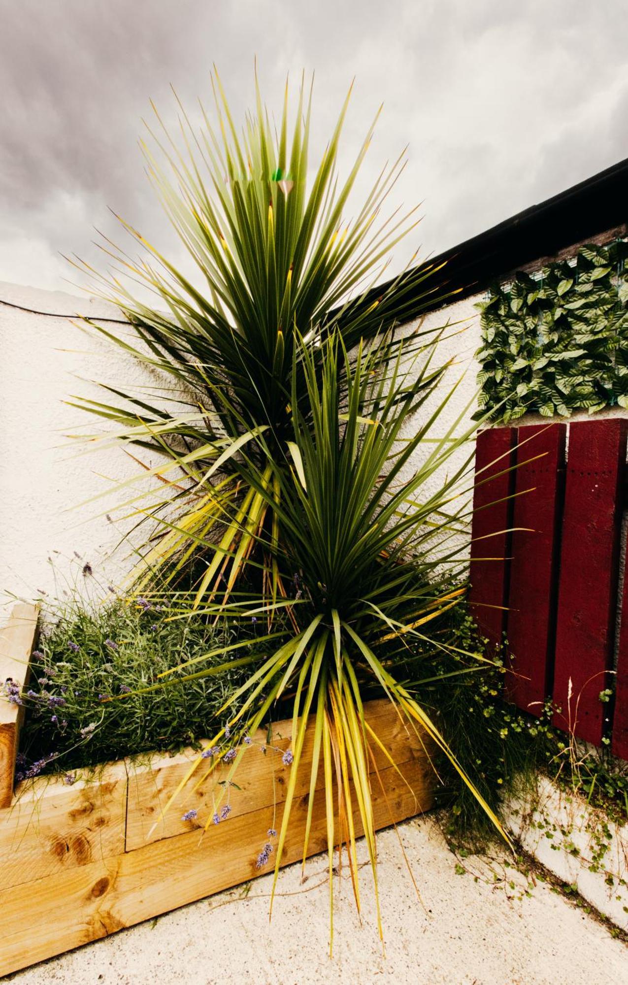 Friars Bush House Belfast - Stunning 4 Bedroom Detached House In Exclusive Queens Quarter Luxury Belfast City Centre מראה חיצוני תמונה